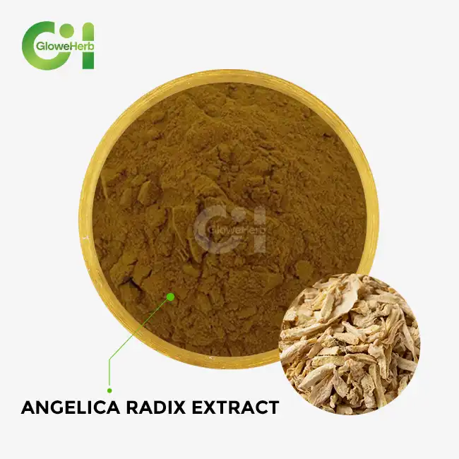 angelica radix extract